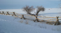 Jack Leg Fence