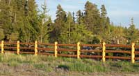 Pole Fence